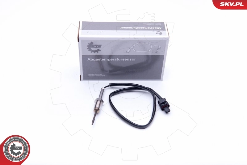 Sensor, exhaust gas temperature